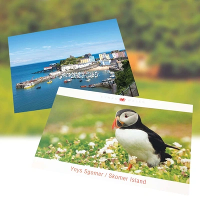 Post Cards Product Image